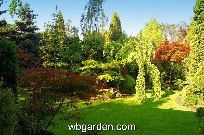 wbgarden spring 1.JPG